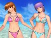 Dead or alive - ayane and kasumi